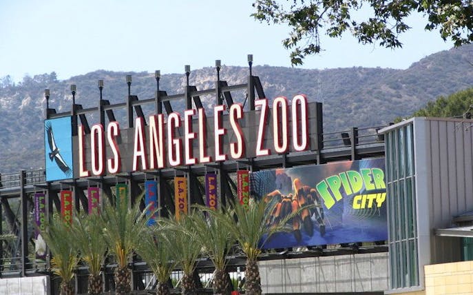 Los Angeles Zoo entrance sign with Spider City exhibit banner.
