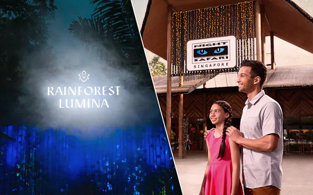 rainforest lumina and night safari tickets