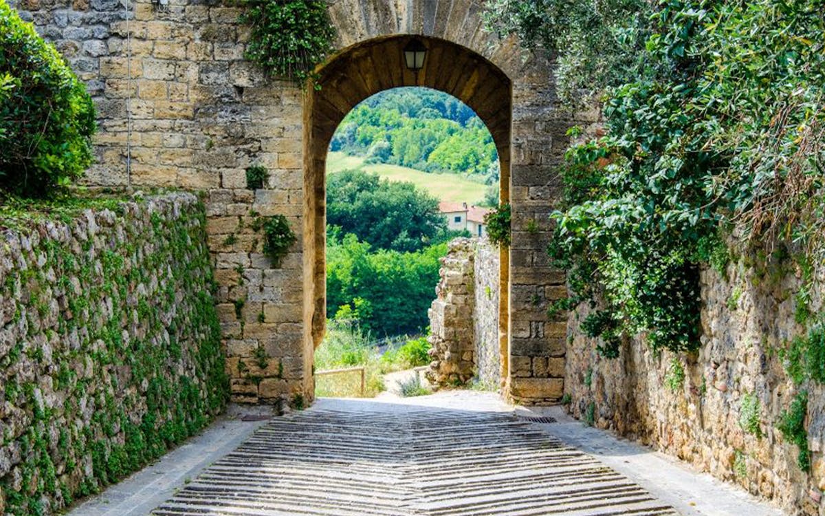 degustación de vinos en chianti: tour de medio día-4 degustación de vinos en chianti: tour de medio día-4