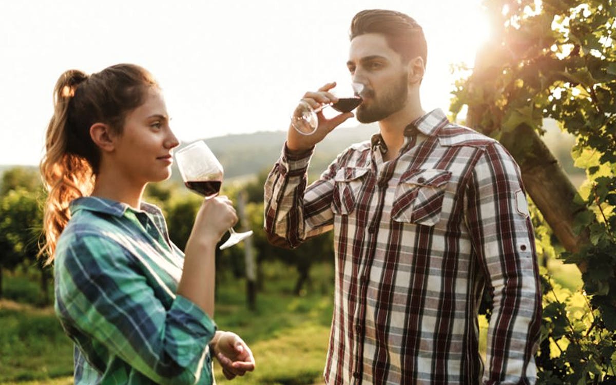 chianti half day wine tasting tour-1 chianti half day wine tasting tour-1