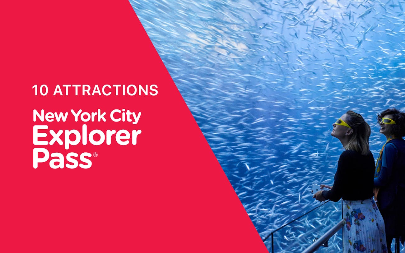 Visitors viewing fish at an aquarium, part of New York Explorer Pass attractions.
