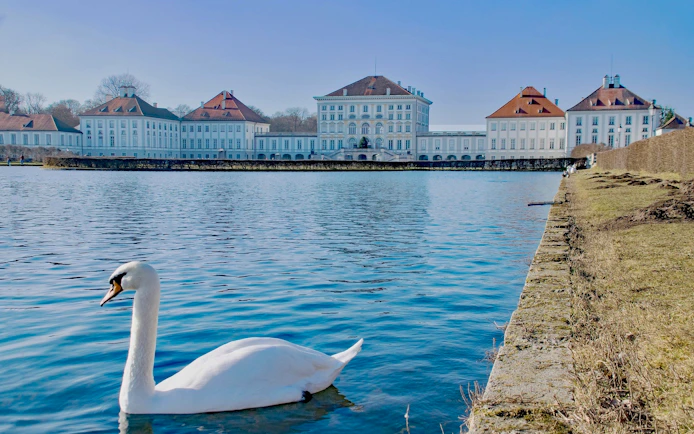 Swan swimming in front of Nymphenburg Palace, Munich, on Neuschwanstein, Oberammergau & Linderhof tour.