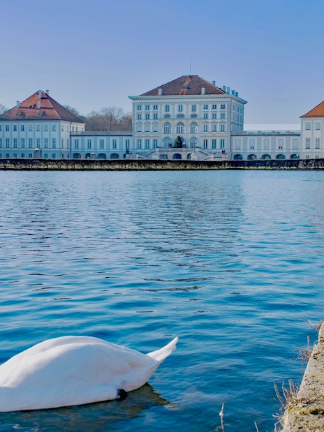 Swan swimming in front of Nymphenburg Palace, Munich, on Neuschwanstein, Oberammergau & Linderhof tour.