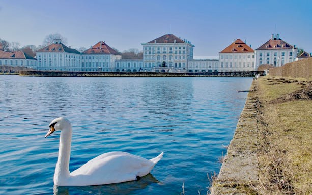 Swan swimming in front of Nymphenburg Palace, Munich, on Neuschwanstein, Oberammergau & Linderhof tour.