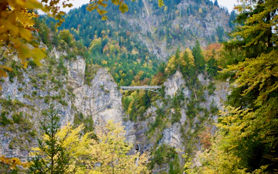 Bridge over rocky gorge surrounded by forest near Neuschwanstein, seen on Munich coach tour.