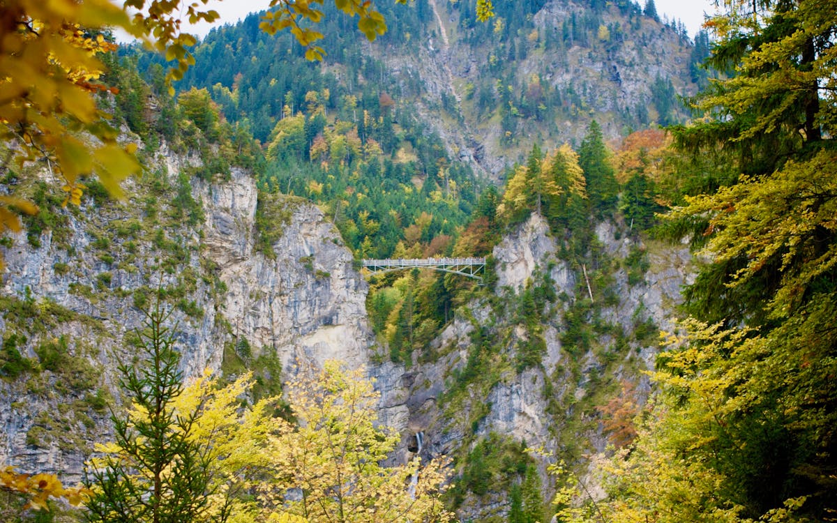 premium guided tour of neuschwanstein & linderhof castles with transfers from munich & admission tickets-7 premium guided tour of neuschwanstein & linderhof castles with transfers from munich & admission tickets-7