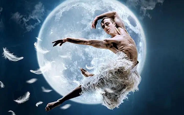 Best west end Shows - swan lake