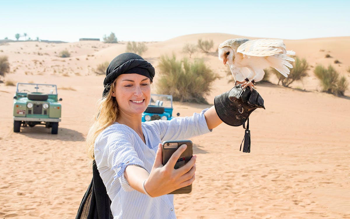 heritage falconry & morning nature safari with bedouin breakfast-9 heritage falconry & morning nature safari with bedouin breakfast-9