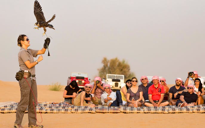 Falconer with falcon in desert during Heritage Falconry tour, group watching nearby.