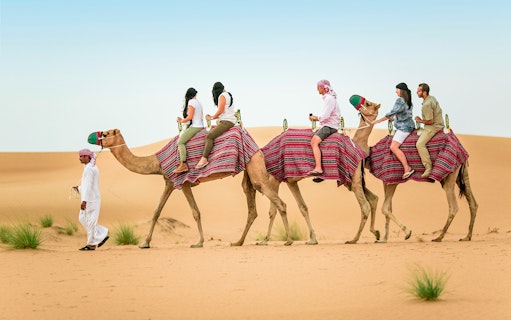 Camel ride through desert dunes during Heritage Falconry & Morning Nature Safari.
