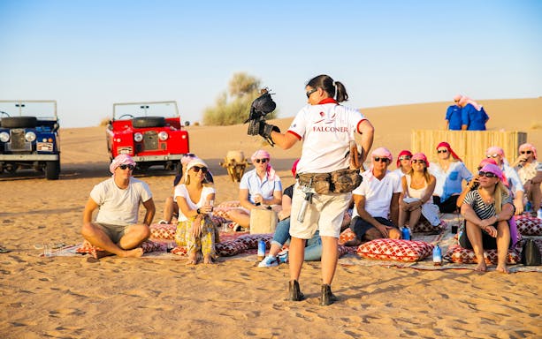 Falconer demonstrating with a bird to a seated group during a desert safari.
