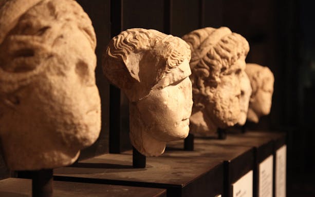 Ancient Roman busts displayed in a museum, part of the Colosseum and Roman Forum tour.