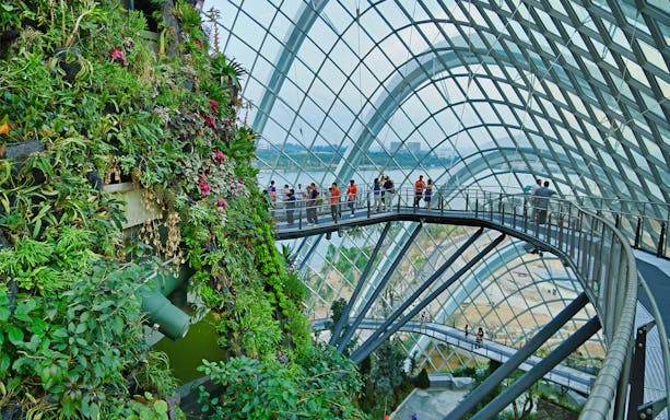 Visitors walking on elevated walkway inside Cloud Forest at Gardens by the Bay, Singapore.