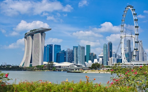 Singapore skyline with Marina Bay Sands and Singapore Flyer near Gardens by the Bay.