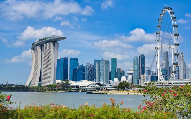 Singapore skyline with Marina Bay Sands and Singapore Flyer near Gardens by the Bay.