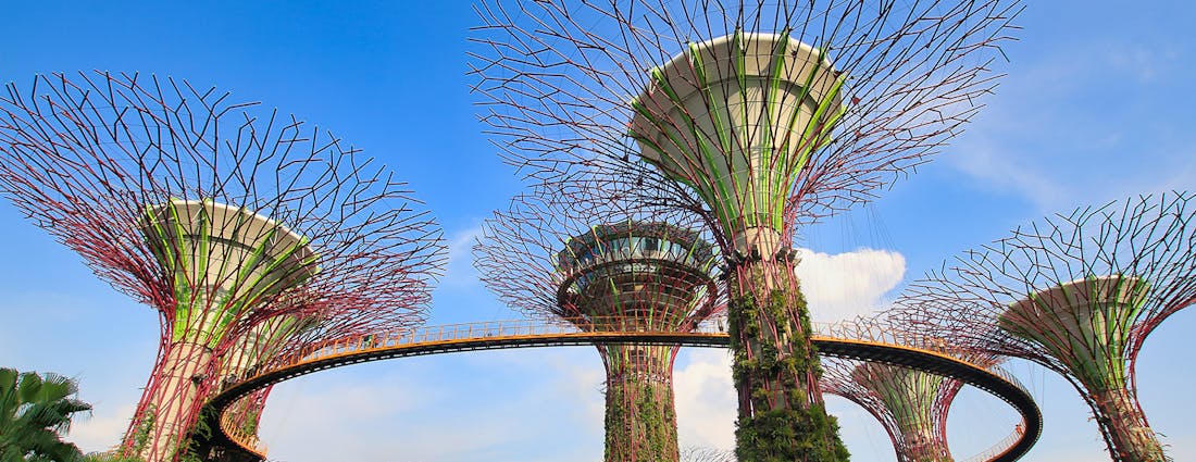 gardens by the bay