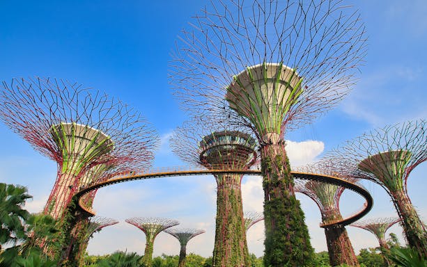 Supertree Grove at Gardens by the Bay, Singapore, with elevated walkway.