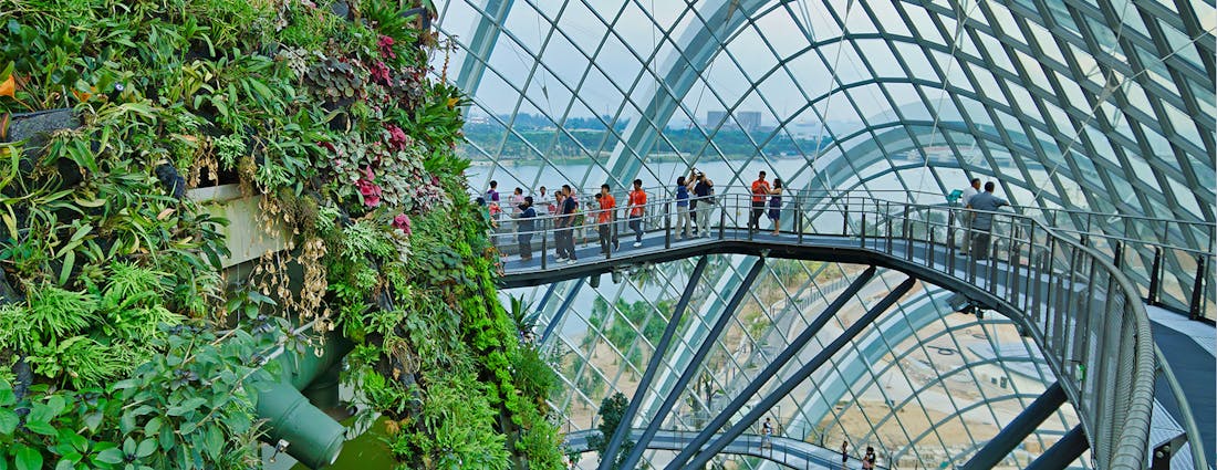 flower dome singapore