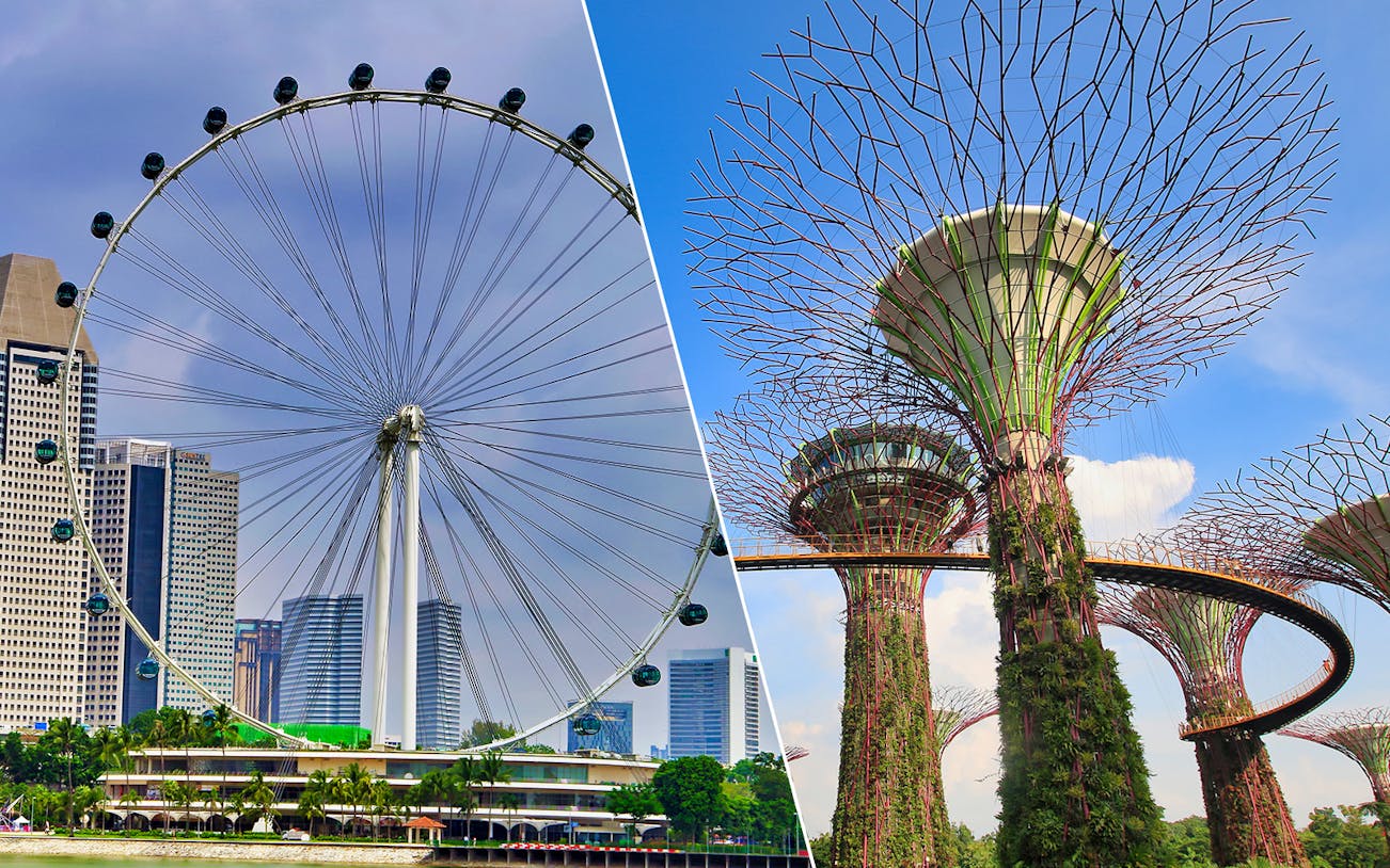 Singapore Flyer and Supertree Grove at Gardens by the Bay.