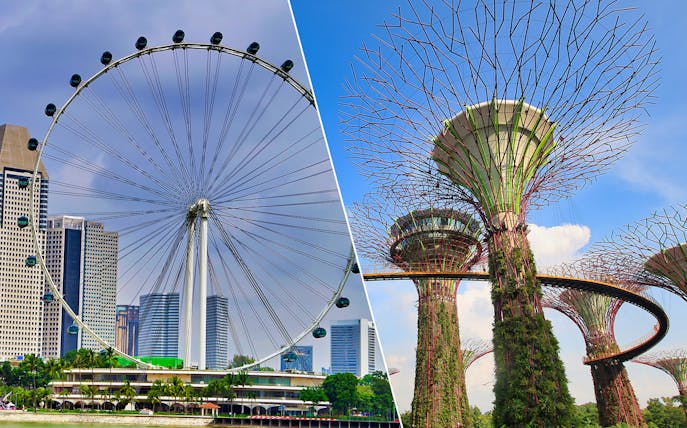 Singapore Flyer and Supertree Grove at Gardens by the Bay.