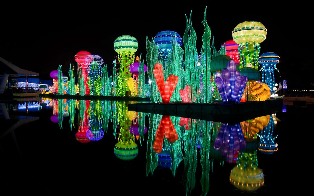 Illuminated sculptures at Dubai Garden Glow reflecting on water at night.