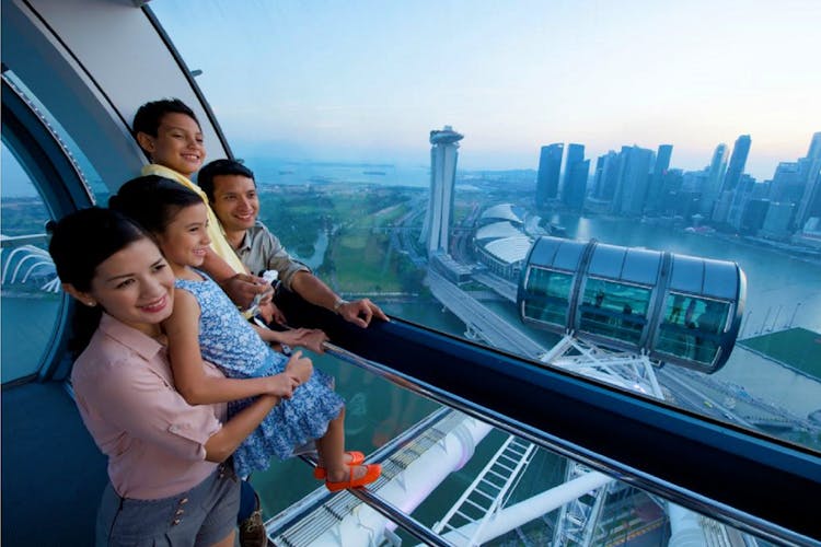 Singapore Flight Sling