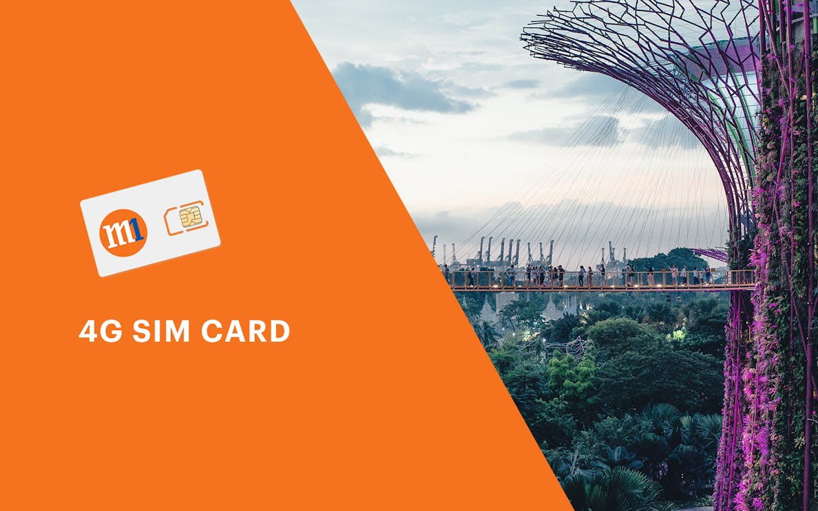 4G SIM card for Singapore with view of Gardens by the Bay.