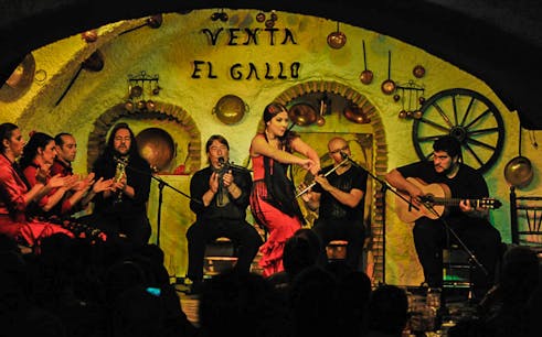 Espectáculo flamenco y tour del Albaicín
