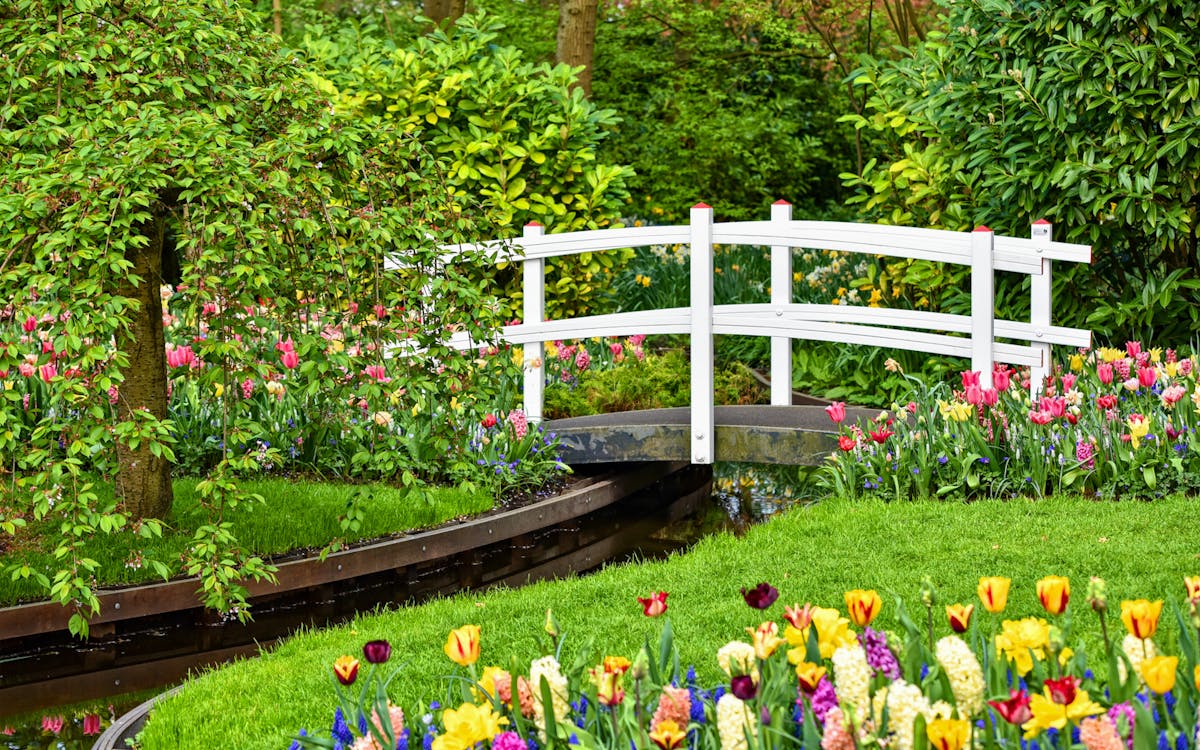 skip-the-line ticket voor de keukenhof-10 skip-the-line ticket voor de keukenhof-10