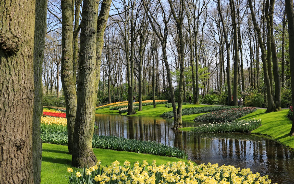 skip-the-line ticket voor de keukenhof-7 skip-the-line ticket voor de keukenhof-7