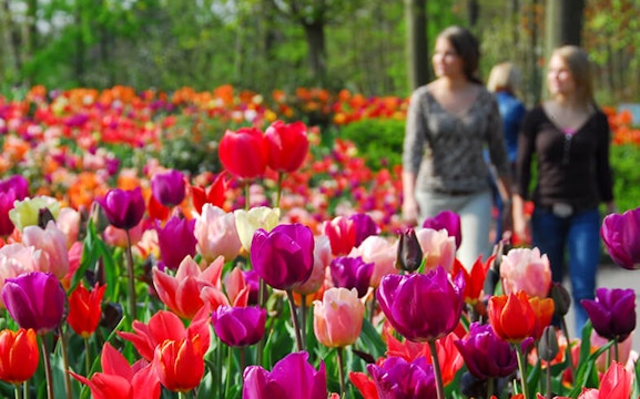 Keukenhof Tickets