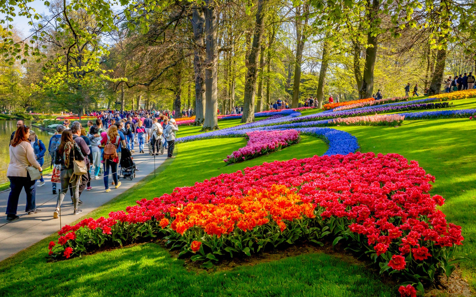 Keukenhof Fast Track Entry Ticket-3