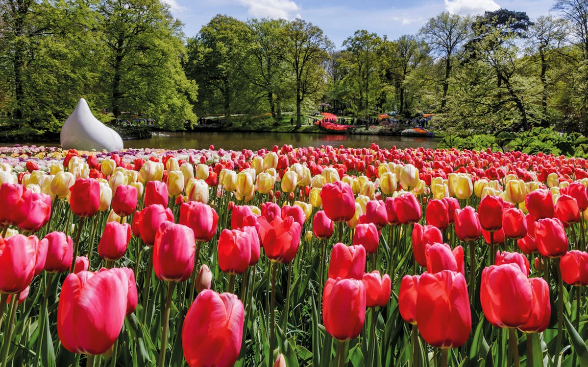keukenhof fast track entry tickets with flexible timed transfers from amsterdam-4 keukenhof fast track entry tickets with flexible timed transfers from amsterdam-4