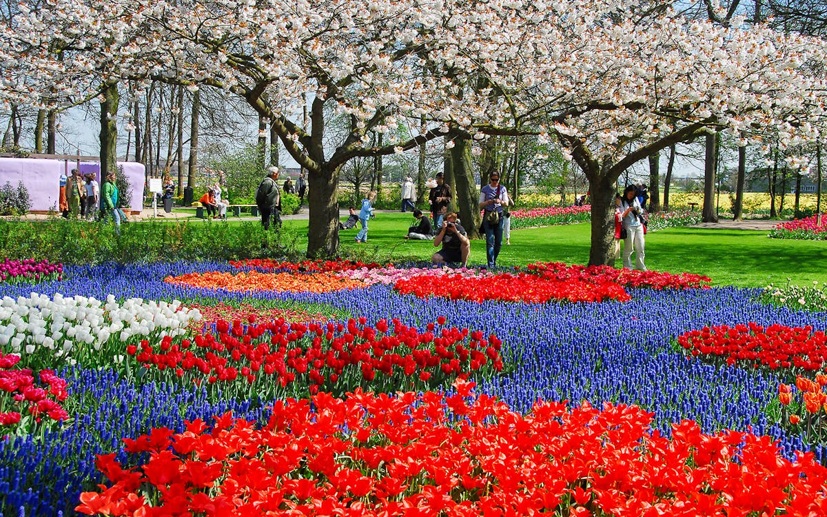 keukenhof fast track entry tickets with flexible timed transfers from amsterdam-1 keukenhof fast track entry tickets with flexible timed transfers from amsterdam-1