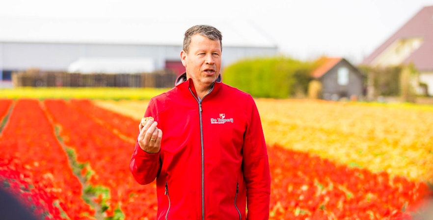 Guide explaining tulip cultivation in a vibrant flower field near Amsterdam.