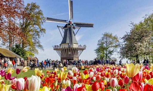 Guided tour of Zaanse Schans windmills with scenic views, part of Keukenhof, Volendam, Marken & Windmills Tour.