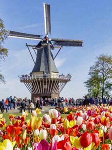 Tulip fields and windmill at Keukenhof Gardens, Netherlands, with visitors exploring the area.