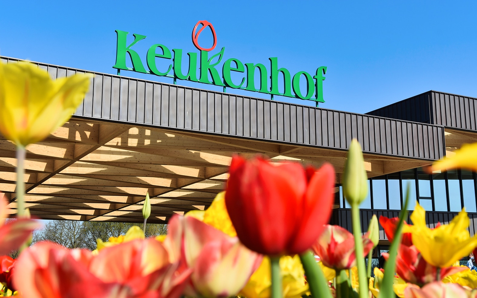 Keukenhof entrance with colorful tulips in foreground, Amsterdam tour.