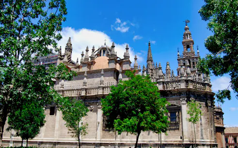 Seville Cathedral and La Giralda tower with trees in foreground.