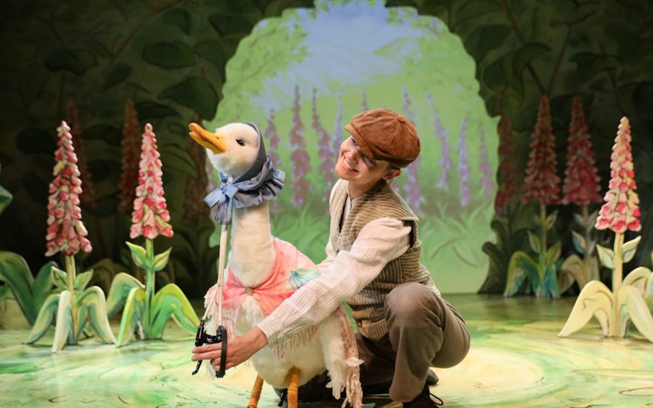 Man interacting with Jemima Puddle-Duck puppet on stage, "Where is Peter Rabbit?" show.