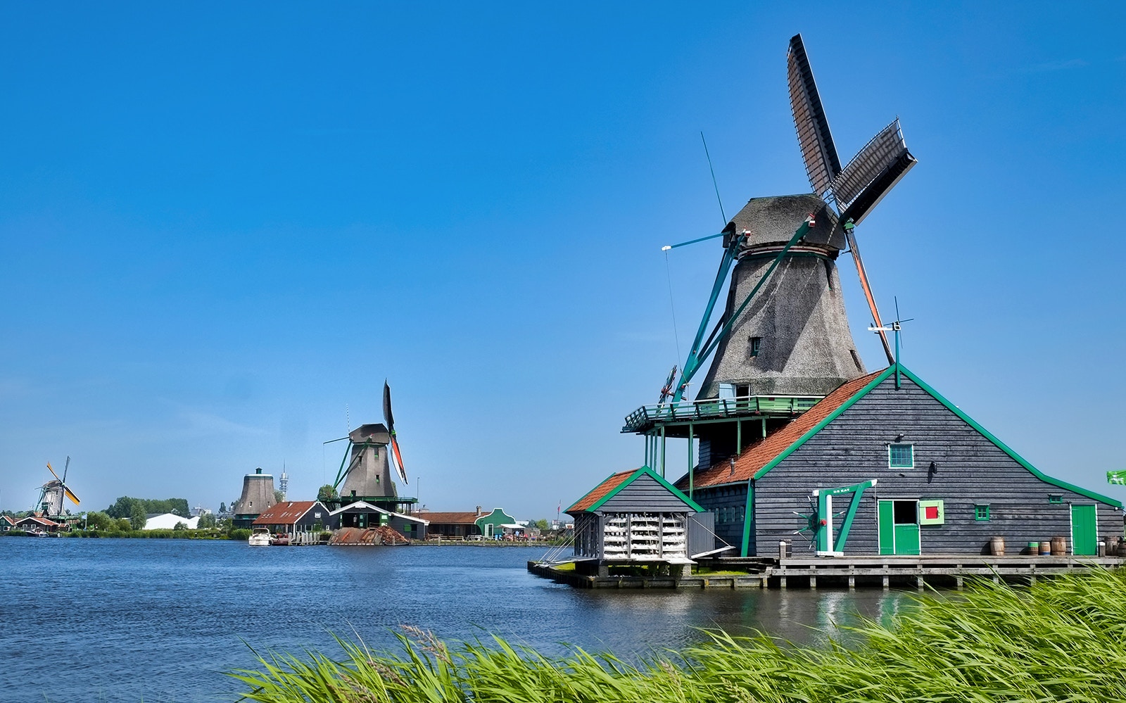 Zaanse Schans windmills by the water under a clear blue sky.