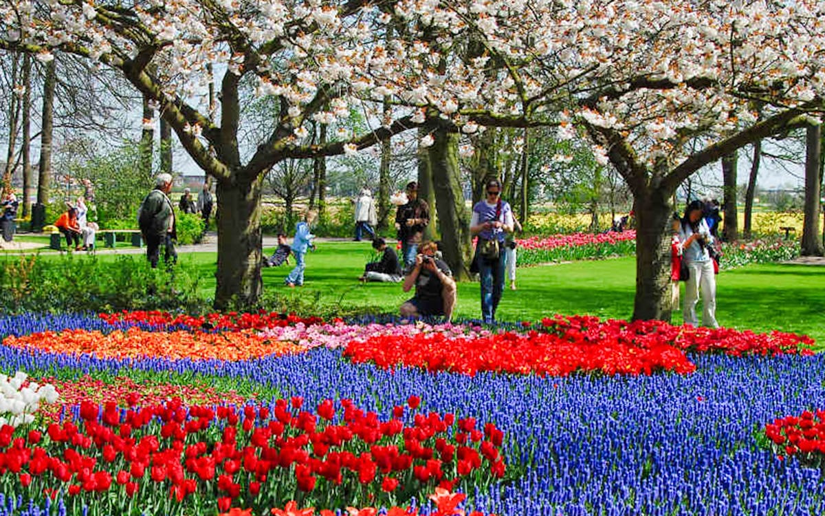 keukenhof fast track entry ticket & round trip from amsterdam-4 keukenhof fast track entry ticket & round trip from amsterdam-4