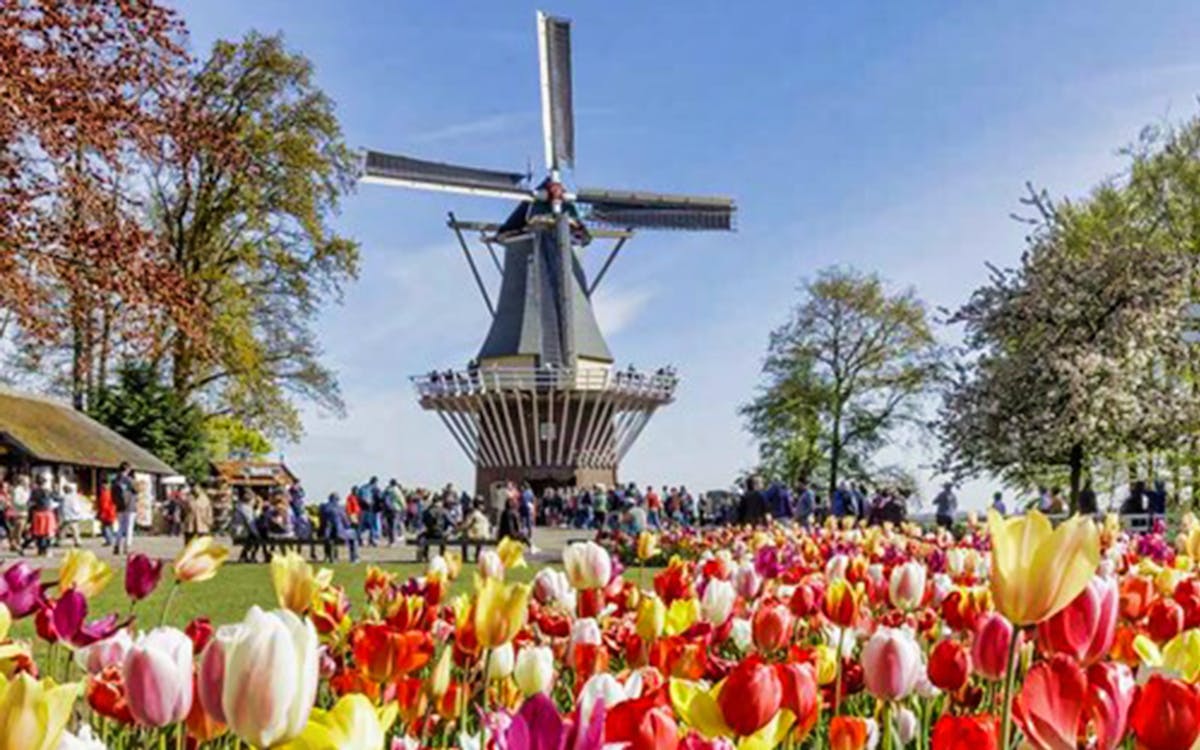keukenhof fast track entry ticket & round trip from amsterdam-3 keukenhof fast track entry ticket & round trip from amsterdam-3
