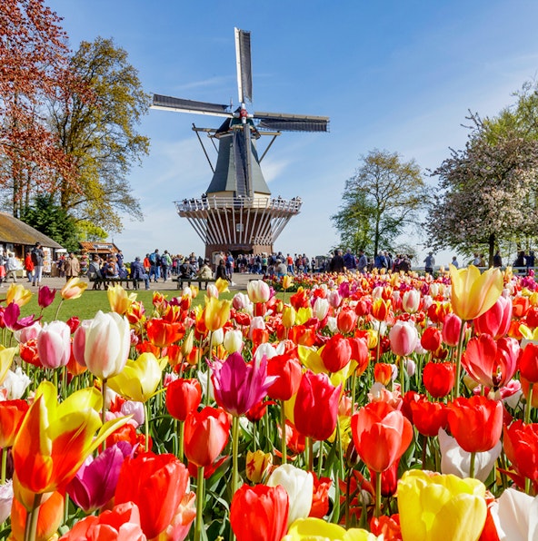 The Keukenhof Tulip Gardens in Amsterdam | An A-Z guide