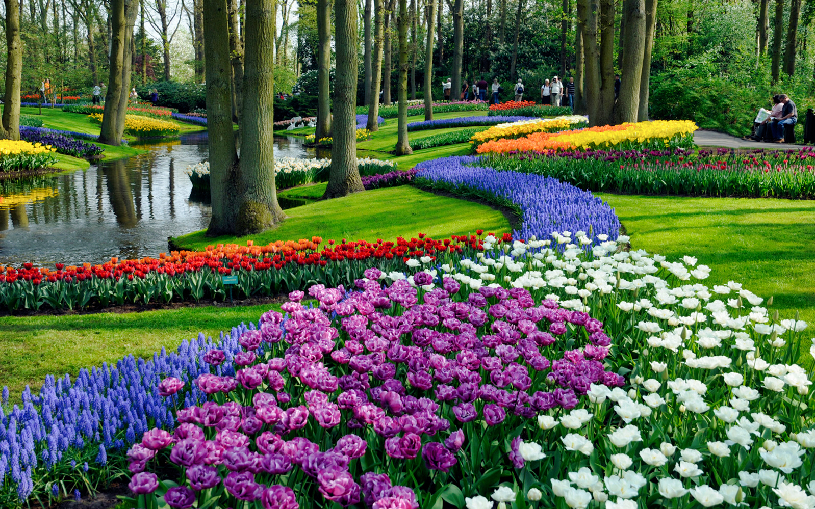 Visit Keukenhof