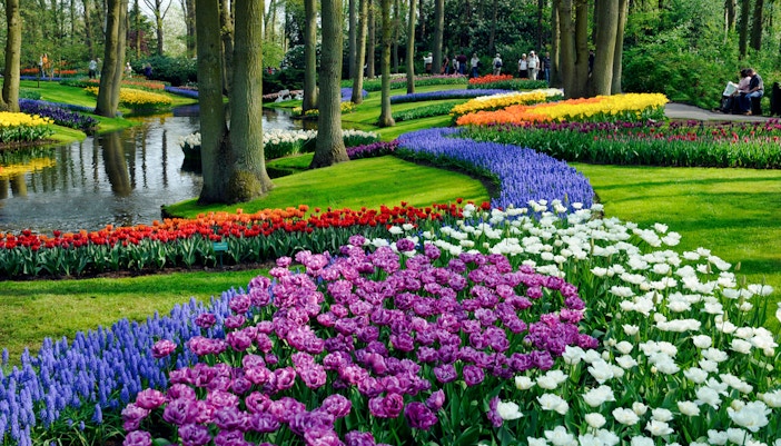 Visit Keukenhof