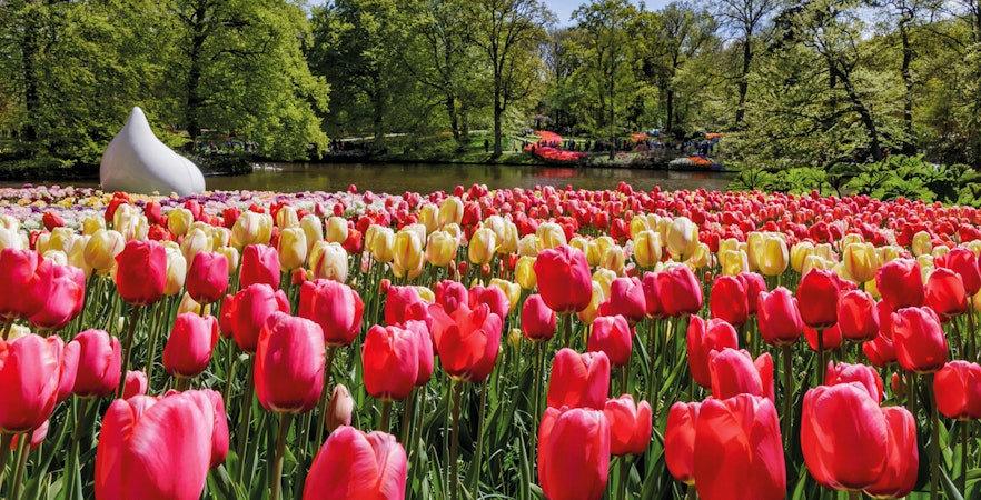 Tulip garden at Keukenhof with a pond and sculpture in the background, Lisse, Netherlands.