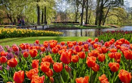 Amsterdam in April Itinerary