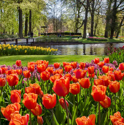 Best Time To Visit Amsterdam