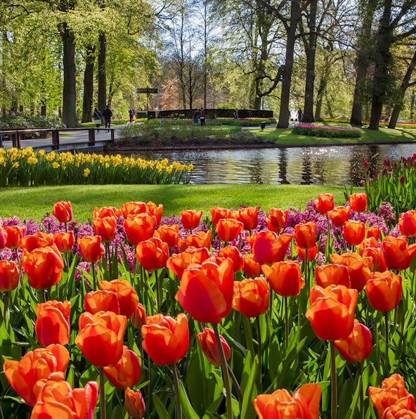 Best Time To Visit Amsterdam